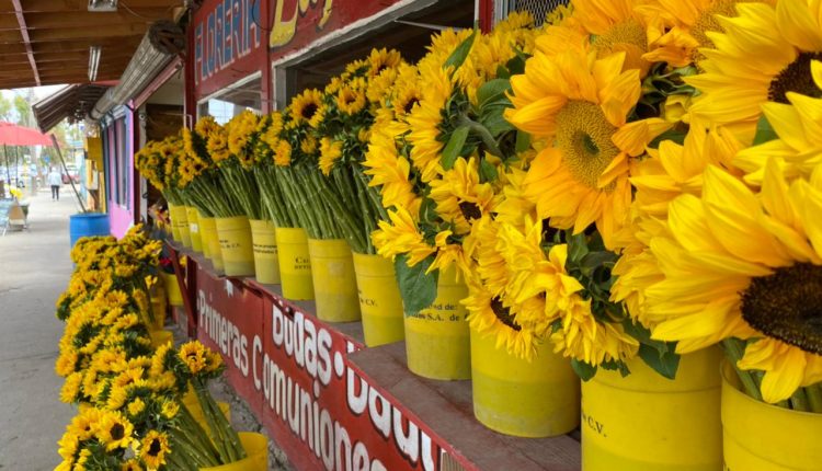 Día de las Madres, 10 de Mayo, Flores, Ventas, Economía