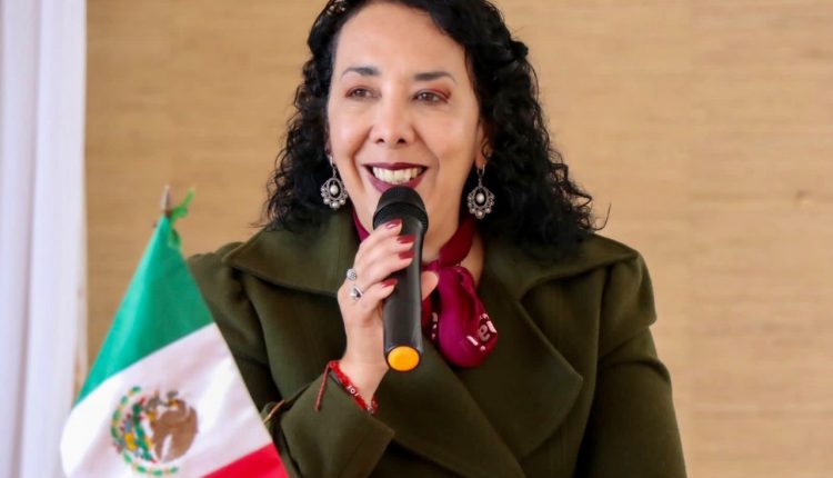 Elecciones 2021, Araceli Brown, Morena, Candidatos