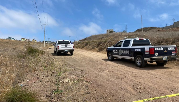 Homicidio, Asesinato, Cuerpo, Violencia