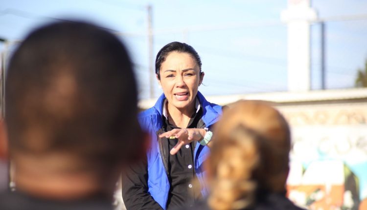 Jackie Nava, Elecciones 2021, Arte, Cultura