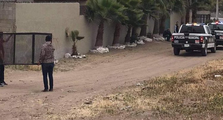 Perritos, Robo, Delincuencia, Inseguridad