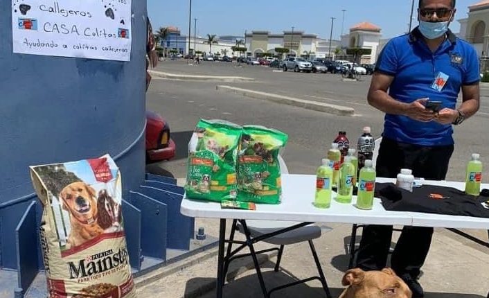 Perros, Perros de la Calle, Comederos, Alimento