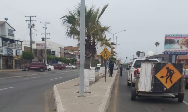 Vialidad, JornadaDeLimpieza