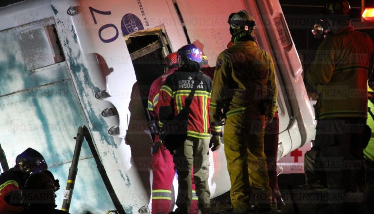 Accidente, Muertos, Cuerpos