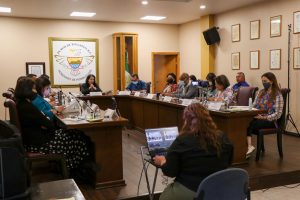 Araceli Brown, Alumbrado Público, Ayuntamiento