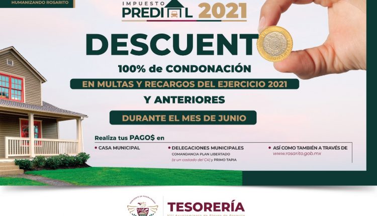 Araceli Brown, Ayuntamiento de Rosarito