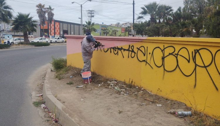 Araceli Brown, Limpia Pública,