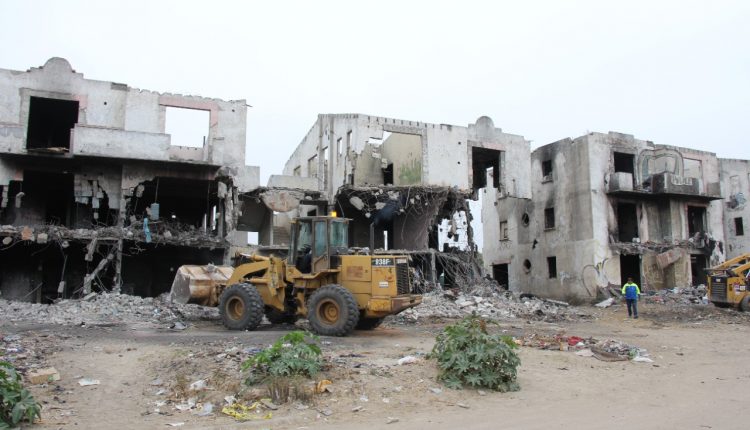 Demolición, Araceli Brown