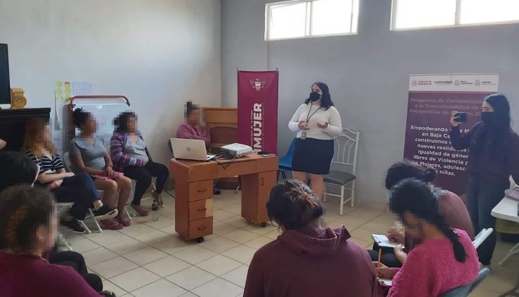 IMMUJER, Violencia de Género, Terapia