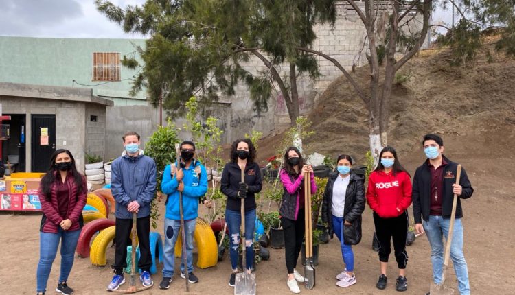 Reforestación, Medio Ambiente, IMJUVER, Araceli Brown