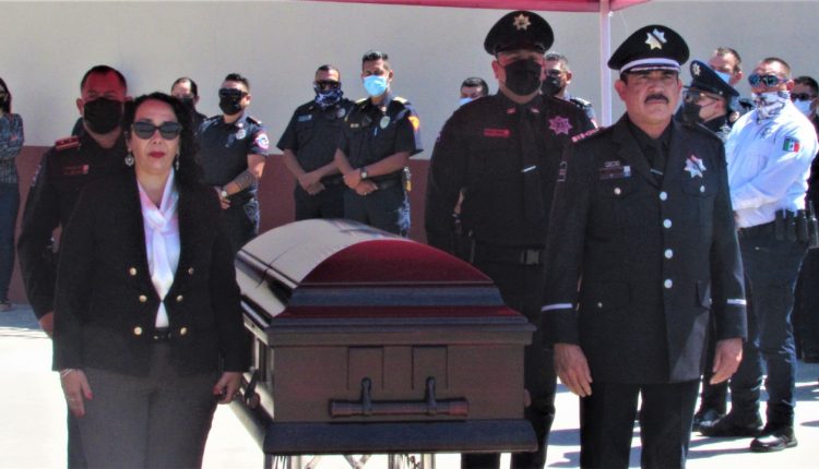 Secretaría de Seguridad Ciudadana, Araceli Brown, Ayuntamiento de Playas de Rosarito