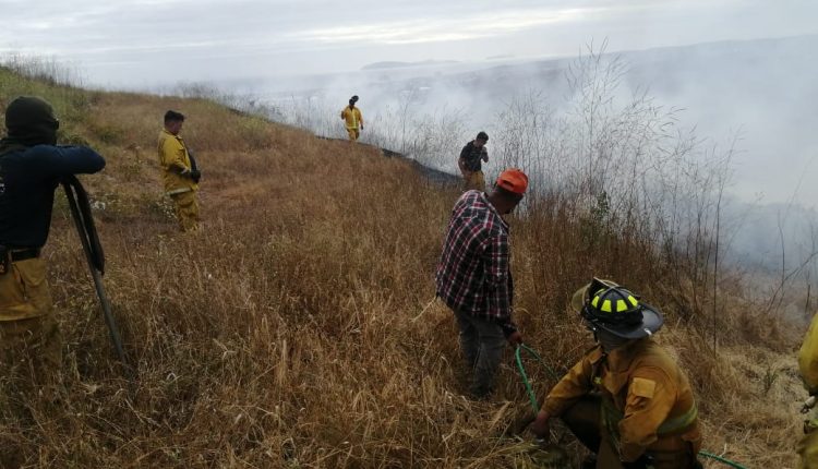 Calor, Altas temperaturas, Protección Civil, Clima, Incendios
