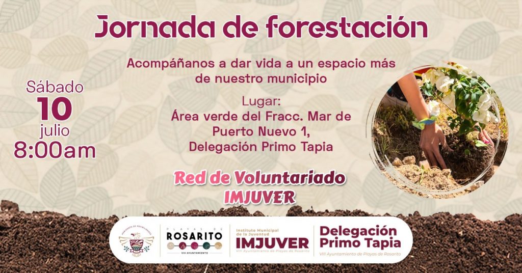 A Rosarito, Deforestación, Forestación, Medio Ambiente, IMJUVER