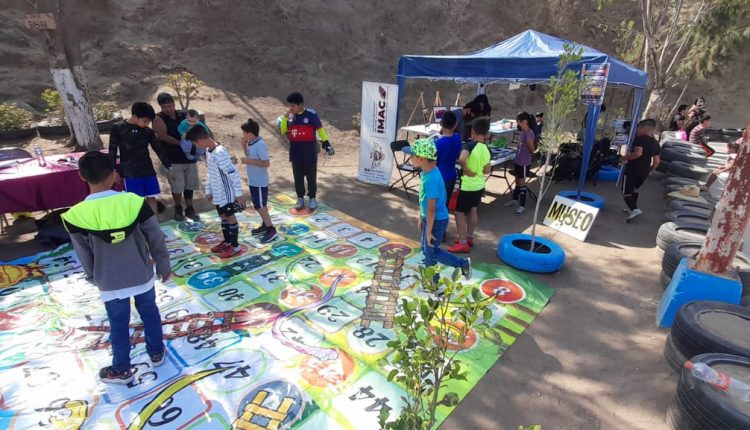 Araceli Brown, IMAC, Cultura