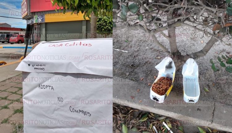 Perros callejeros, Denuncia ciudadana, Altruismo