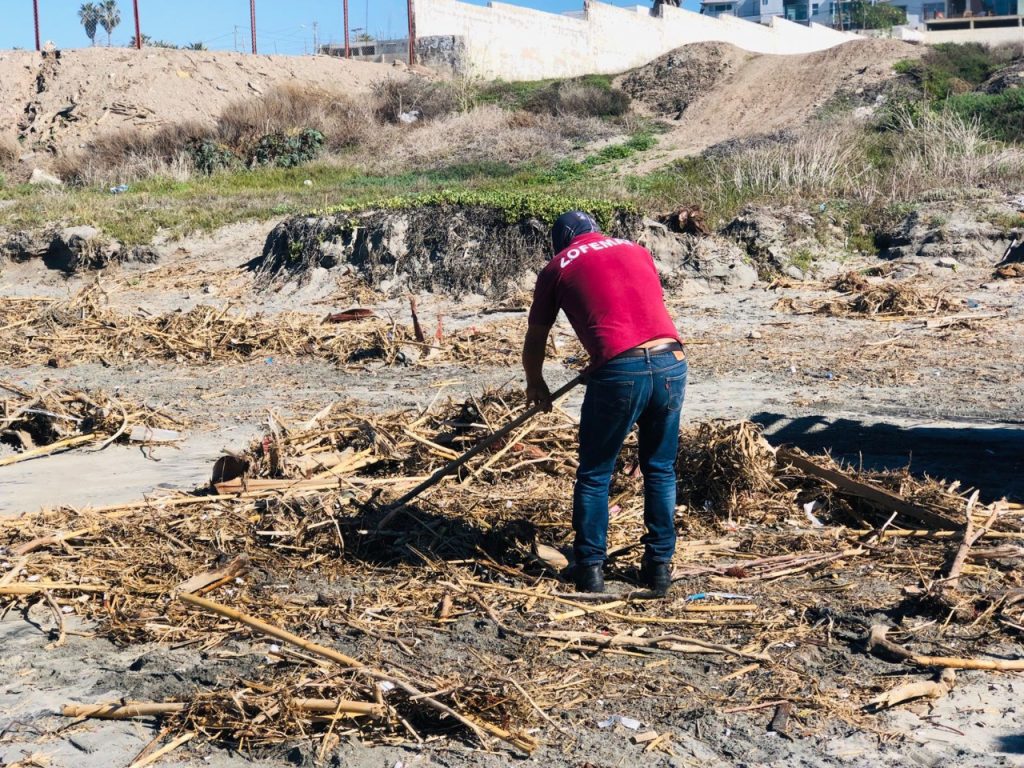 Recolectan 40 mil kilos de basura en playa El Bebé - Noticias Rosarito