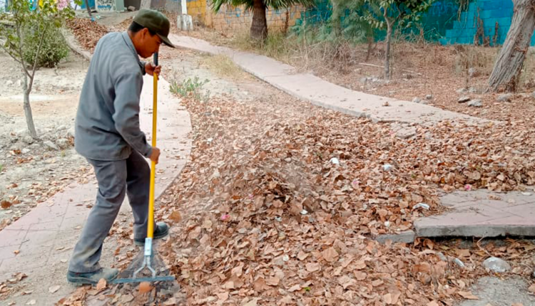 Rosarito va por un municipio más limpio