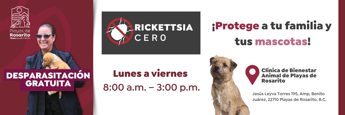 INTERIOR RICKETTSIA CERO