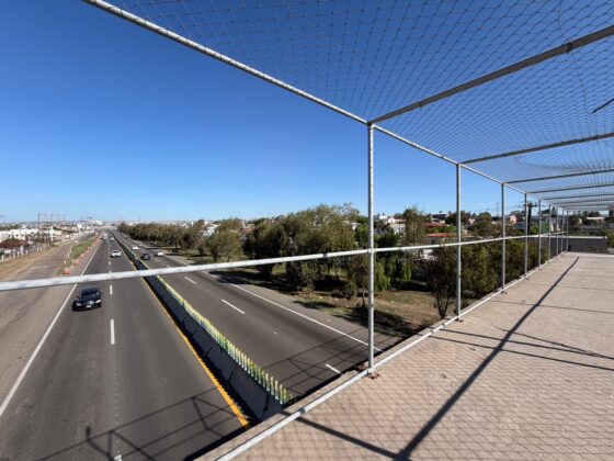 Puente peatonal sobre la autopista Esc&eacute;nica sin malla de protecci&oacute;n entre colonias Constituci&oacute;n y Machado Sur en Playas de Rosarito